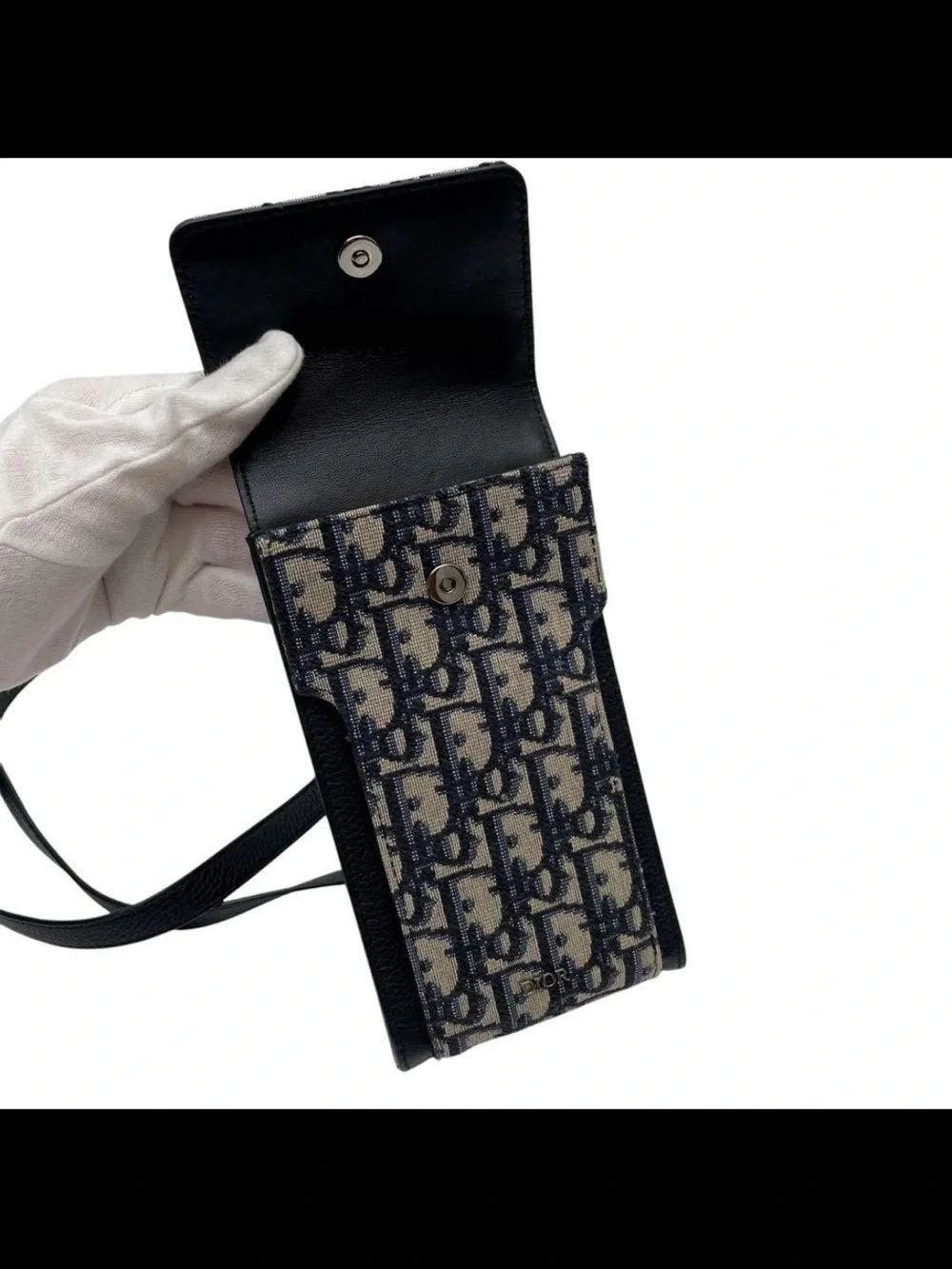 Dior signature oblique